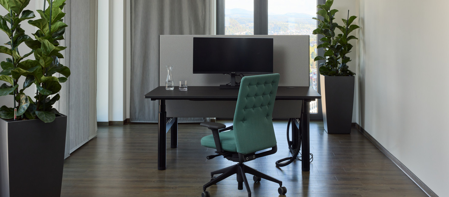Arbeitsplatz im Workspace mit großen Fensterfronten und Zimmerpflanzen